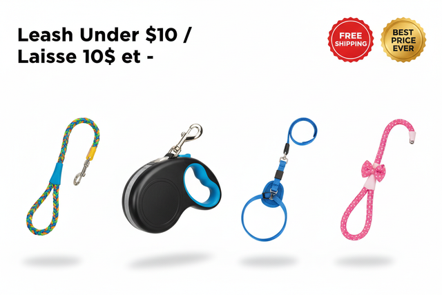 Leash Under $10 / Laisse 10$ et -