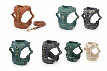 Harness / Harnais