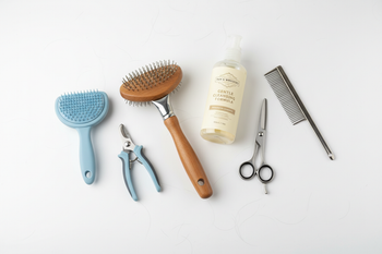 Grooming / Toilettage
