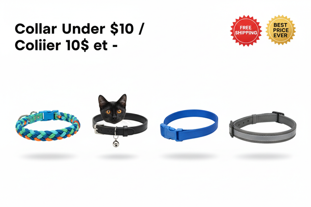 Collar Under $10 / Collier 10$ et -