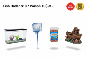 Fish Under $10 / Poisson 10$ et -