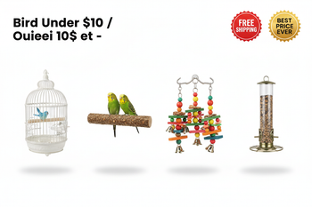 Bird Under $10 / Oiseau 10$ et -