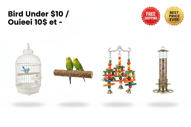 Bird Under $10 / Oiseau 10$ et -