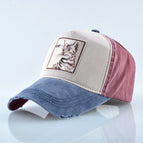 WL cat-Blue / Adjustable