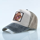 Bear-Ash / Adjustable