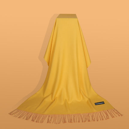 Ruifeng autumn and winter cashmere plain color men and women monochrome tassel warm shawl scarf factory delivery