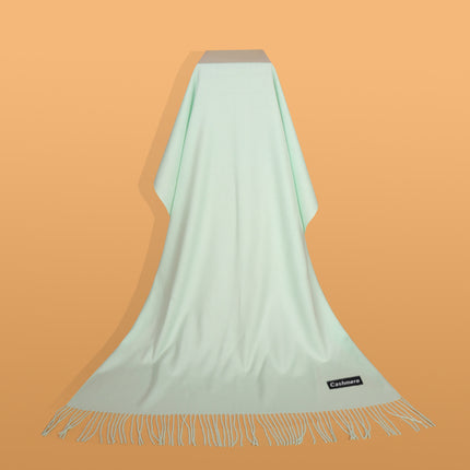 Ruifeng autumn and winter cashmere plain color men and women monochrome tassel warm shawl scarf factory delivery