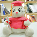 18cm0.09kg / White rose red clothes