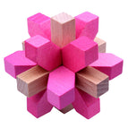 color plum blossom