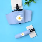 Daisies-light blue Full automatic-GD / Vinyl umbrella