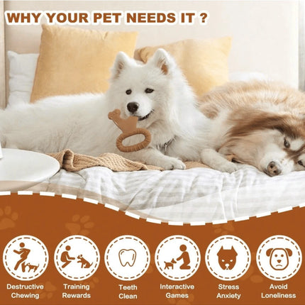 //img.ltwebstatic.com/images3_spmp/2024/04/01/25/1711958567156d2e14b2bdd0fa016e8fa2d331ddfb_square_thumbnail_900x.webp