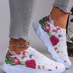 Multicolor / EUR39