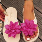 Hot Pink / CN36