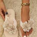 Beige / CN41