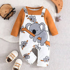 Brown / 3-6M