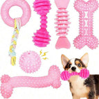 Multicolor / Pink Chew Toy