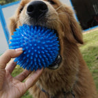 Blue / S