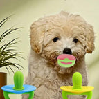 Multicolor_1 / 1 Piece Cactus Pacifier - Green