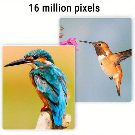 //img.ltwebstatic.com/v4/j/spmp/2025/04/08/e4/1744091894fdd35eef4fb01f2e3e79d425081ecac5_square_thumbnail_900x.webp