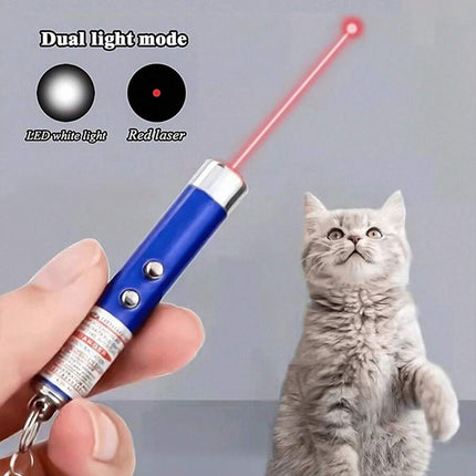 //img.ltwebstatic.com/v4/j/spmp/2025/05/06/8e/1746521617fc5500d10c885790b09738ce8b29968d_thumbnail_900x.webp