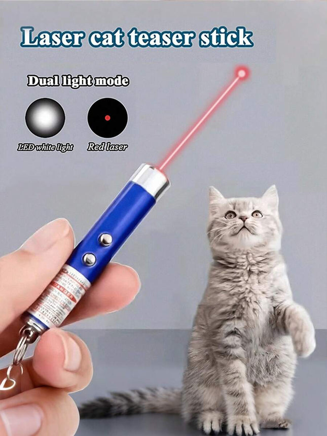 //img.ltwebstatic.com/v4/j/spmp/2025/05/06/8e/1746521617fc5500d10c885790b09738ce8b29968d_thumbnail_900x.webp