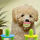 Multicolor / 2 Pieces Of Cactus Pacifiers - Green