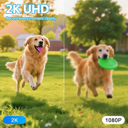 //img.ltwebstatic.com/v4/j/spmp/2025/06/24/97/17507776710a67de8952be131ff1711e01304027d4_square_thumbnail_900x.webp