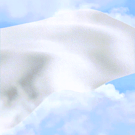 http://img.ltwebstatic.com/v4/g/pi/2025/07/04/ed/17516096911e61f6ffd05410bb9c1d8bf837bb7b00.gif