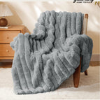 Light Gray / Solid Color