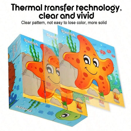 //img.ltwebstatic.com/v4/j/spmp/2025/09/10/ce/17574703587d0ee2b15871d4f311f2990d1b155cb9_thumbnail_900x.webp