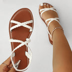 Blanc / EUR39