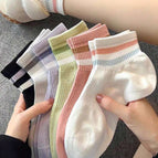 Multicolor / 36-39 6 Pairs