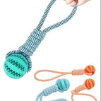 Multicolor / 1pcs (Fun Bite-resistant + Orange - L)