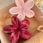 Multicolor_5 / Wine Red 1pc