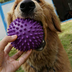 Purple / M