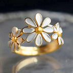 Yellow Gold / 6