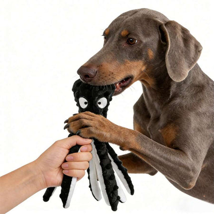 //img.ltwebstatic.com/v4/j/spmp/2025/12/24/b6/17665685219e69150c7fd98be1463d3428ad9405b3_square_thumbnail_900x.webp