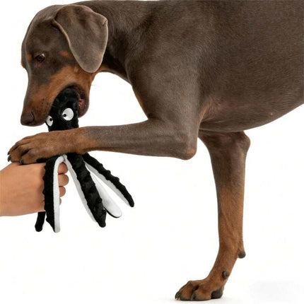 //img.ltwebstatic.com/v4/j/spmp/2025/12/24/7b/17665685253714e78ab30357eb6e9e1eda5c12ebe5_square_thumbnail_900x.webp