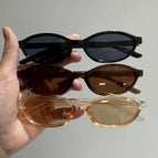 3pcs Black Champagne & Dark Tea / One Size