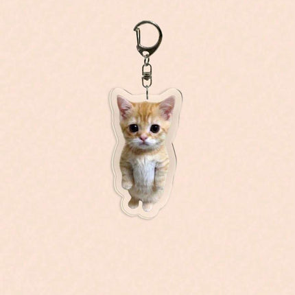 //img.ltwebstatic.com/v4/j/spmp/2026/01/05/fb/1767628596846b18cad638519dc5f2714b205f74f6_thumbnail_900x.webp