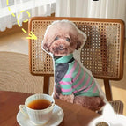 animal photos / 40 cm/15.75 inches