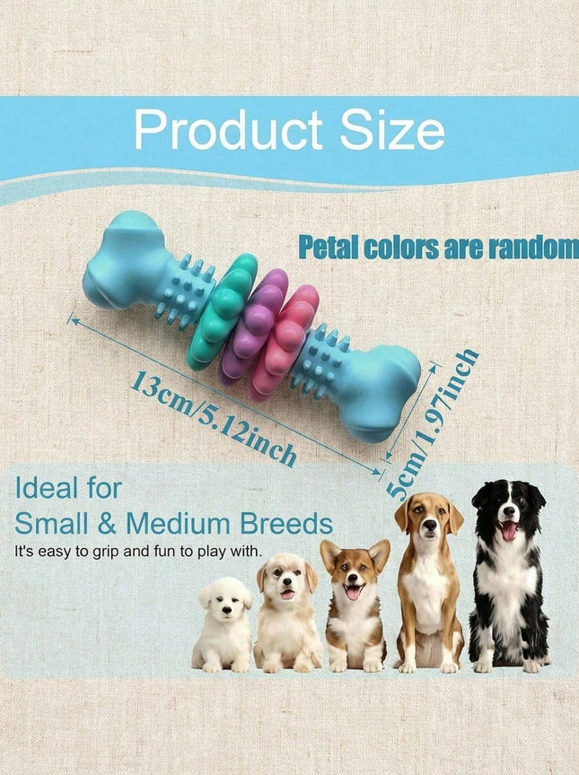 //img.ltwebstatic.com/v4/j/spmp/2026/01/27/e9/176948243546ecefd87ab4ee1f0a43d7651d8141bf_thumbnail_900x.webp