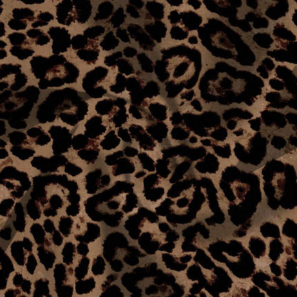 //img.ltwebstatic.com/v4/j/pi/2026/01/27/9d/1769508456e9fb13c1b30f47fd68e9288e8c2d649d_thumbnail_900x.webp