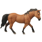 Arabian Brown Horse
