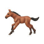Trekner Colts