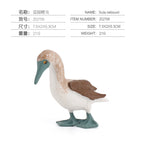 ZQ756 Blue Foot Booby 21g