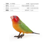 ZQ1248 peony parrot 74.4G