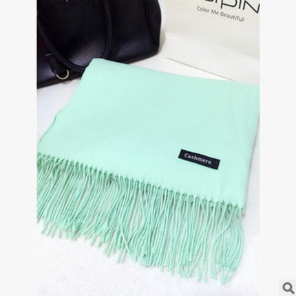 New Scarf Foreign Trade Women's Autumn and Winter Korean Style Monochrome Tassel Long Scarf Student Japanese Style Fresh Long Imitation Cashmere Shawl