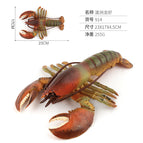 PL127-914 Australian lobster 914-0.255kg