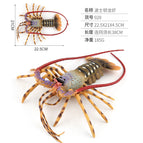 PL127-928 Boston lobster 928-0.185kg